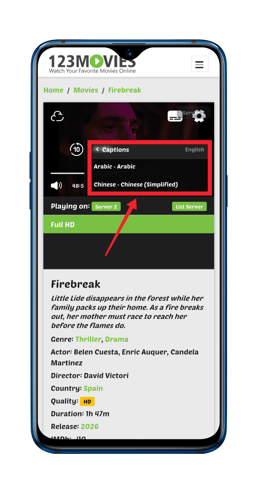 Multilingual Subtitle Support