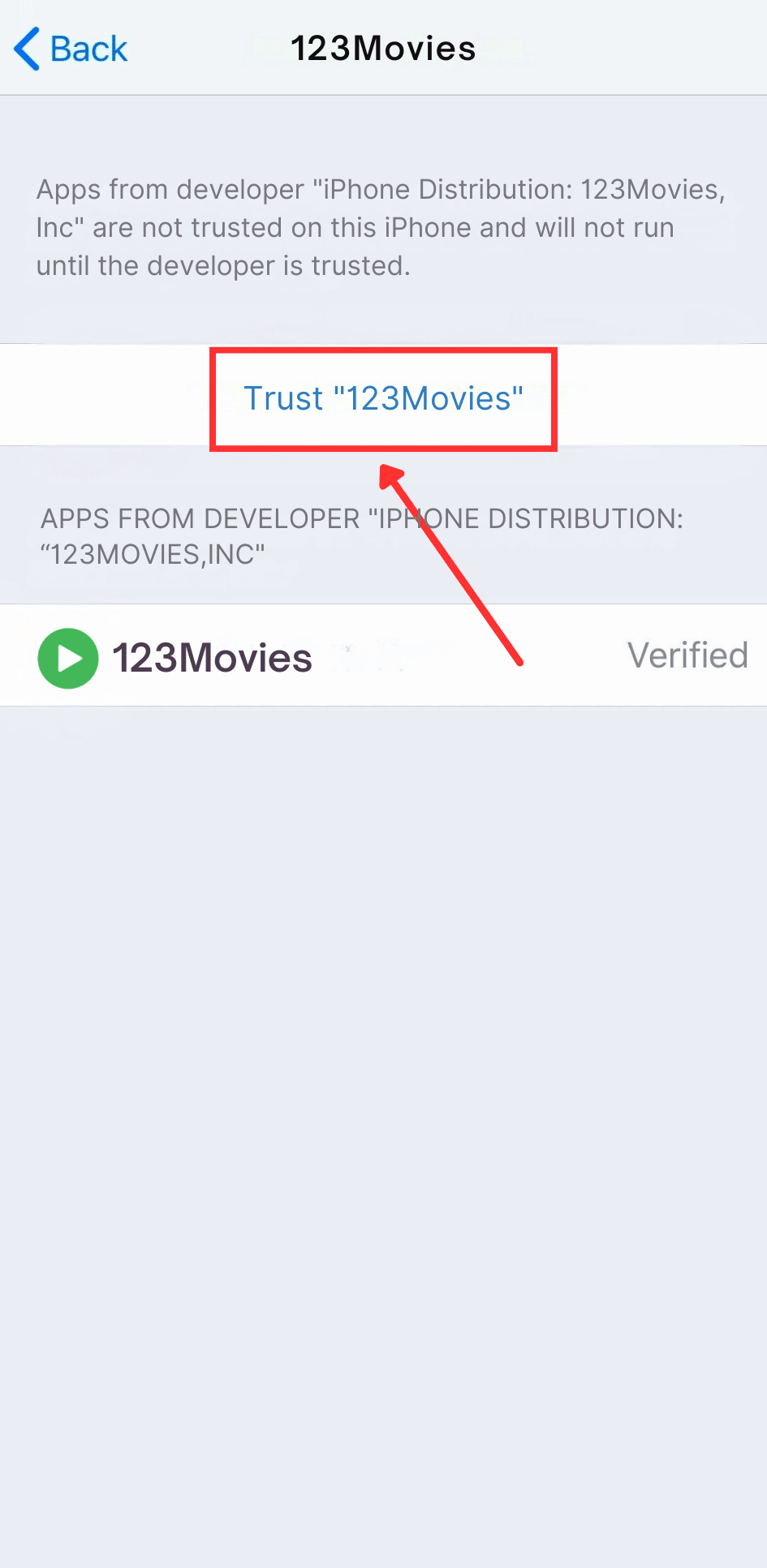 Trust Developer Certificate on iPhone